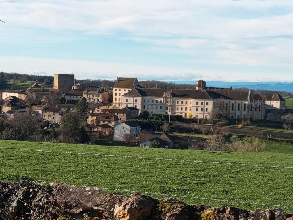 Gite De Belle Vue Semur-en-Brionnais 외부 사진